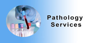 Top Pathology Lab in Rajasthan