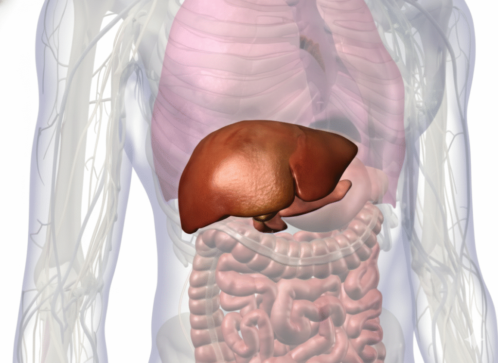 Gallbladder Disease