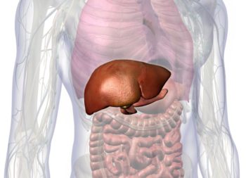 Gallbladder Disease - Causes, Symptoms and Treatment Options