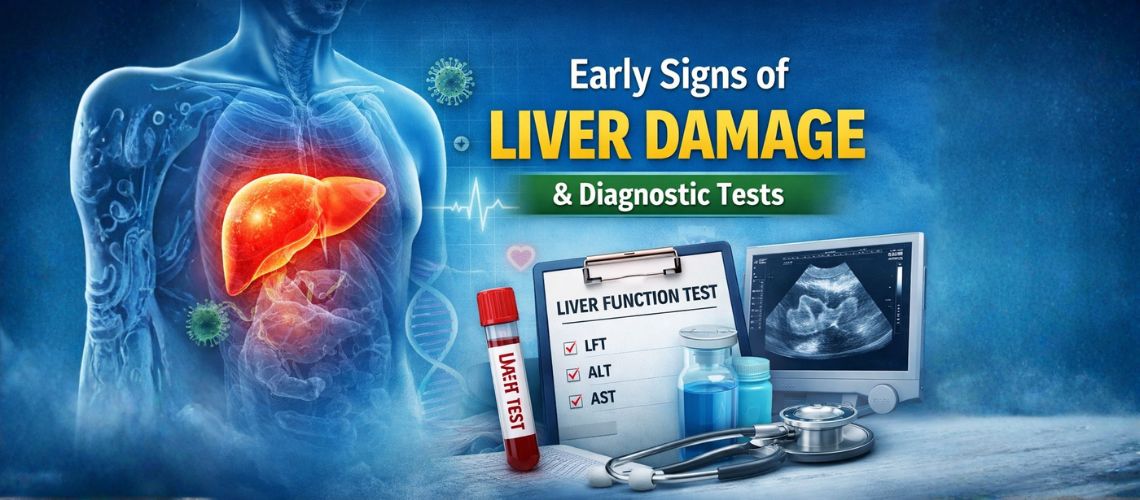 Early signs of liver damage showing symptoms and diagnostic tests like LFT, ultrasound, and blood testing
